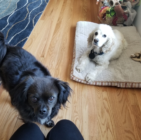 Meet your Posher, Melissa - Picture 2 of 2